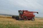 Более 400 тонн зерна было собрано за этот год