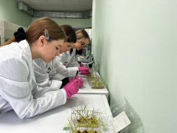 Школьники из Лобни стали финалистами олимпиады по аграрной генетике «Иннагрика»
