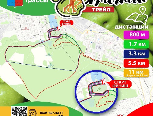 Множество дистанций, лотерея и яблоки: «фруктовый» забег в лобненском лесопарке Множество дистанций, лотерея и яблоки: «фруктовый» забег в лобненском лесопарке
