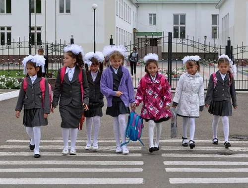 Сотрудники Госавтоинспекции рассказали, как обезопасить детей по дороге в школу