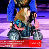 В Доме культуры на Красной Поляне пройдет цирковое представление