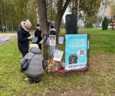 В Центральном парке Лобни состоялся праздник «Человек собаке друг» В Центральном парке Лобни состоялся праздник «Человек собаке друг»