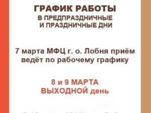 МФЦ городского округа Лобня информирует о графике работы