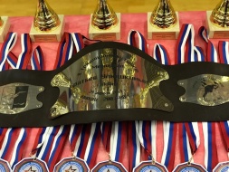 28 апреля состоялся VIII традиционный турнир по дзюдо “Мемориал Братьев Улюшкиных”