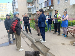 Уборка подъездов и ремонт дорог: глава Лобни провела обход территорий