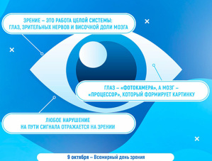 Зрение — одно из самых важных чувств
