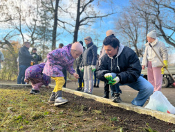 В Лобне высадили 4500 тюльпанов В Лобне высадили 4500 тюльпанов