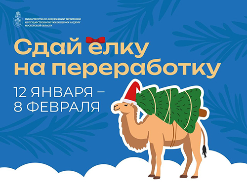 Жители Лобни смогут подарить новогодним елкам «вторую жизнь»