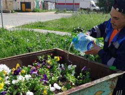 В Лобне облагородили бесхозные клумбы