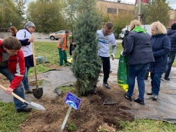Жители города высадили композицию из деревьев и кустарников разных пород у арт-объекта «Вертолет»