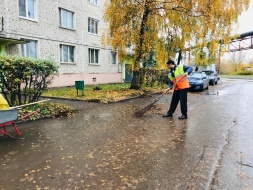 В Лобне были проведены работы по очистке придомовых территорий от листвы 