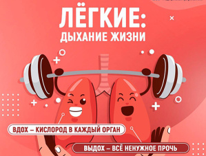 Лёгкие — это жизненно важные органы дыхательной системы человека