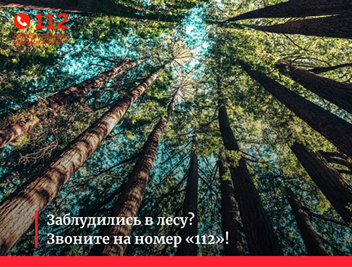 Для тех, кто не планирует заблудится в лесу!