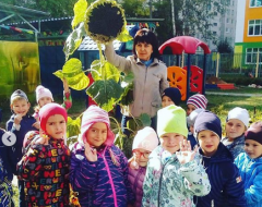 Дети из группы №12 детского сада "Радуга" с лета наблюдали, как растет подсолнух