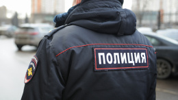 Ирина Волк: Полицейскими задержан один из предполагаемых участников разбойного нападения на женщину в Наро-Фоминском городском округе