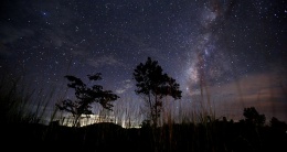 Жители Лобни смогут увидеть метеорный поток Ориониды