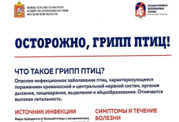 Лобненцам рассказали об опасностях птичьего гриппа