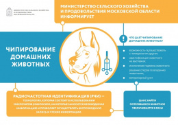 Министерство сельского хозяйства МО информирует о чипировании домашних животных