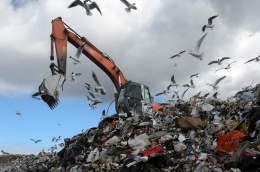 В Лобне борются с незаконными навалами мусора: уже вывезено 19 машин