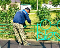 В Лобне заботятся о парках и детских площадках