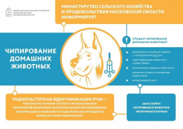 Министерство сельского хозяйства МО информирует о чипировании домашних животных