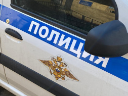 В Лобне задержали москвича за кражу чемодана с вещами