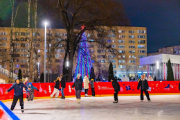 В Лобненском парке появится новое кафе и панда-парк