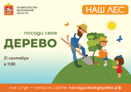 В группе Вконтакте “Любимая Лобня” проходит голосование за выбор центральной площадки акции “Наш лес”