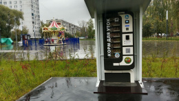 Жители Лобни смогут кормить уток правильно Жители Лобни смогут кормить уток правильно