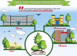 Более 2000 саженцев высадят в городе в эту субботу