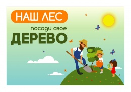 В следующую субботу, 21 сентября, состоится ежегодная акция " НАШ ЛЕС. Посади свое дерево".