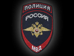 Полицейскими в Подмосковье задержан подозреваемый в серии мошенничеств