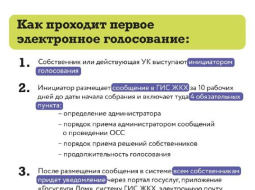 В этом году в электронный формат планируется перевести собрания собственников в половине жилого фонда Подмосковья