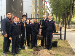 В колледже «Подмосковье» в рамках акции «Лес Победы» посадили деревья В колледже «Подмосковье» в рамках акции «Лес Победы» посадили деревья