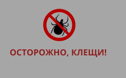 Врач из Лобни рассказал, как защититься от клещей