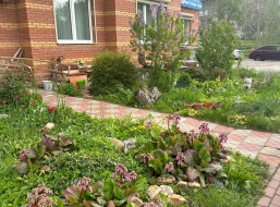 В Лобне пройдет конкурс на самый уютный двор