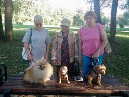 В "Лобненском КЦСОН" была проведена канистерапия
