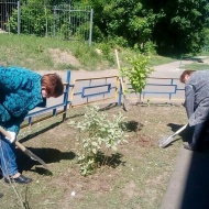 ГБУСО МО «Лобненский КЦСОН» принял участие в ежегодном конкурс по благоустройству территории в номинации - «Самая благоустроенная территория учреждения»