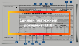 Лобненцев информируют: Как перейти на  электронный единый платежный документ