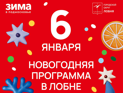 Тренировка по самбо и научная Новогодняя елка: в Лобне продолжаются развлекательные мероприятия
