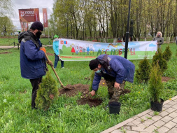 В рамках акции "Лес Победы" в Сквере защитников Москвы посажено более 50 деревьев и кустарников