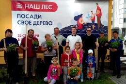 В 27 городских дворах прошла высадка деревьев