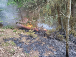 Жителей Лобни предупредили о высокой пожарной опасности