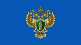 Штраф в размере 200 тыс рублей может быть назначен судом жителю Лобни за нападение на полицейского в День города