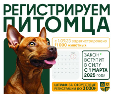 Жителям Лобни напомнили о необходимости регистрации домашних животных