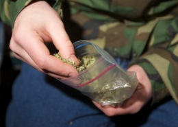 Сотрудники ОМВД России по г.о. Лобня изъяли более 15 граммов марихуаны