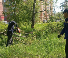 Лобня хорошеет: новые этапы благоустройства