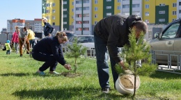 311 деревьев и почти  1 000 кустарников планируется высадить на дворовых территориях в рамках акции «Наш лес» в Лобне