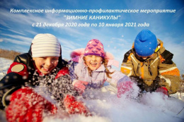 На территории Московской области проводится мероприятие «Зимние каникулы»