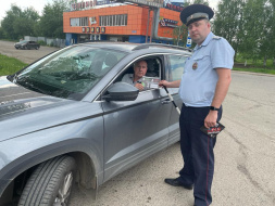 Сотрудники Подмосковной Госавтоинспекции провели мероприятие по дорожной безопасности
